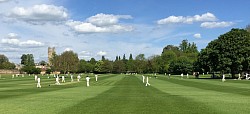 Oxfordshire Cricket
